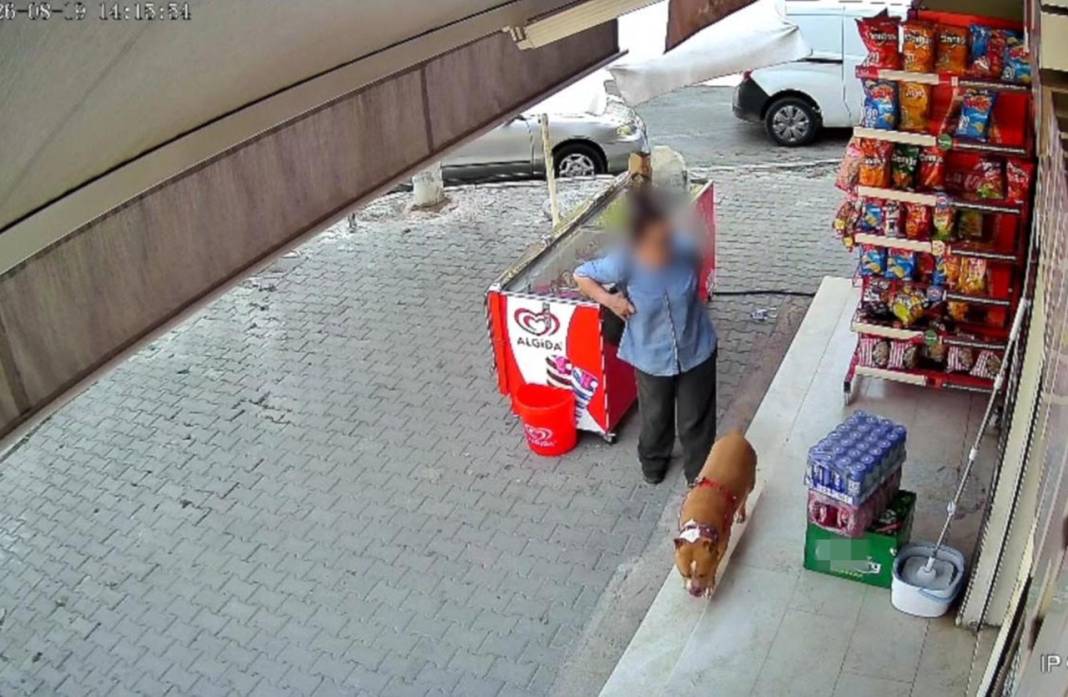 Pitbull 5 çocuk annesi kadının parmağını kopardı! 8